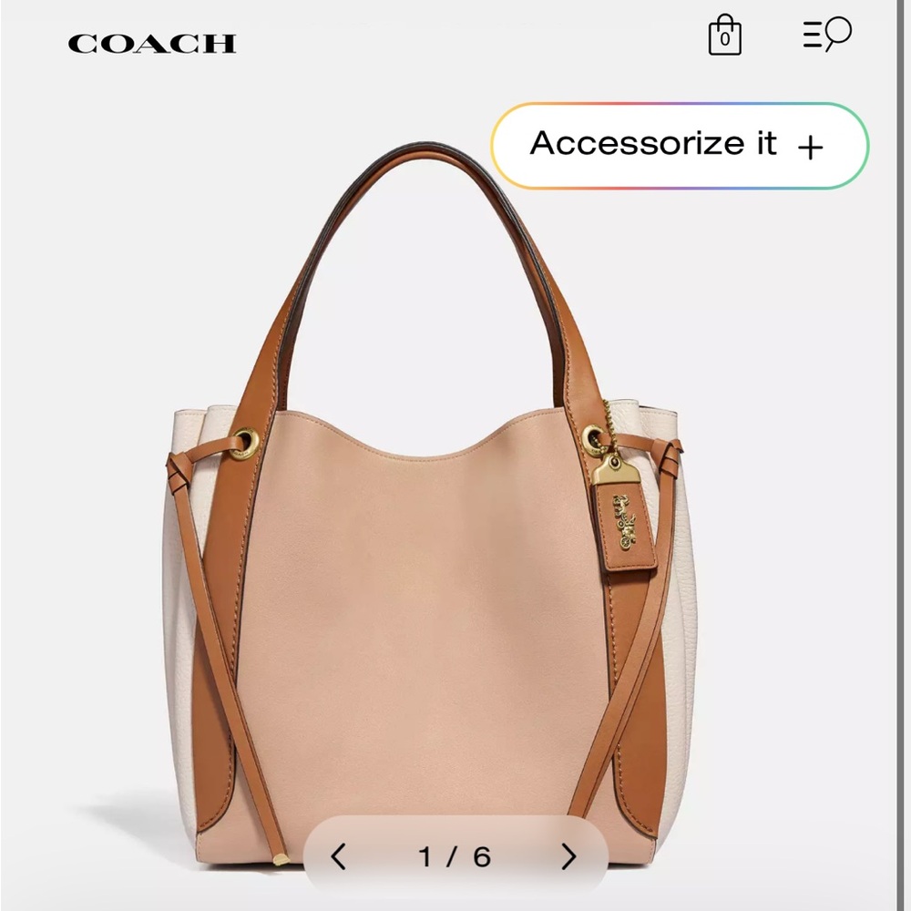 COACH Harmony Hobo in Colorblock 🤎